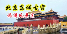 处女动漫巨吊中国北京-东城古宫旅游风景区